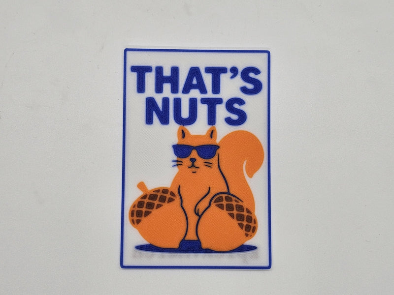 White, blue, and orange That's Nuts squirrel magnet with sunglasses and acorns